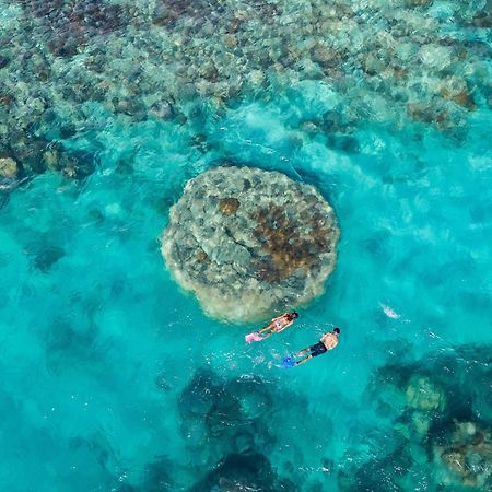 Shingley Beach Resort - Whitsundays エアリービーチ エクステリア 写真