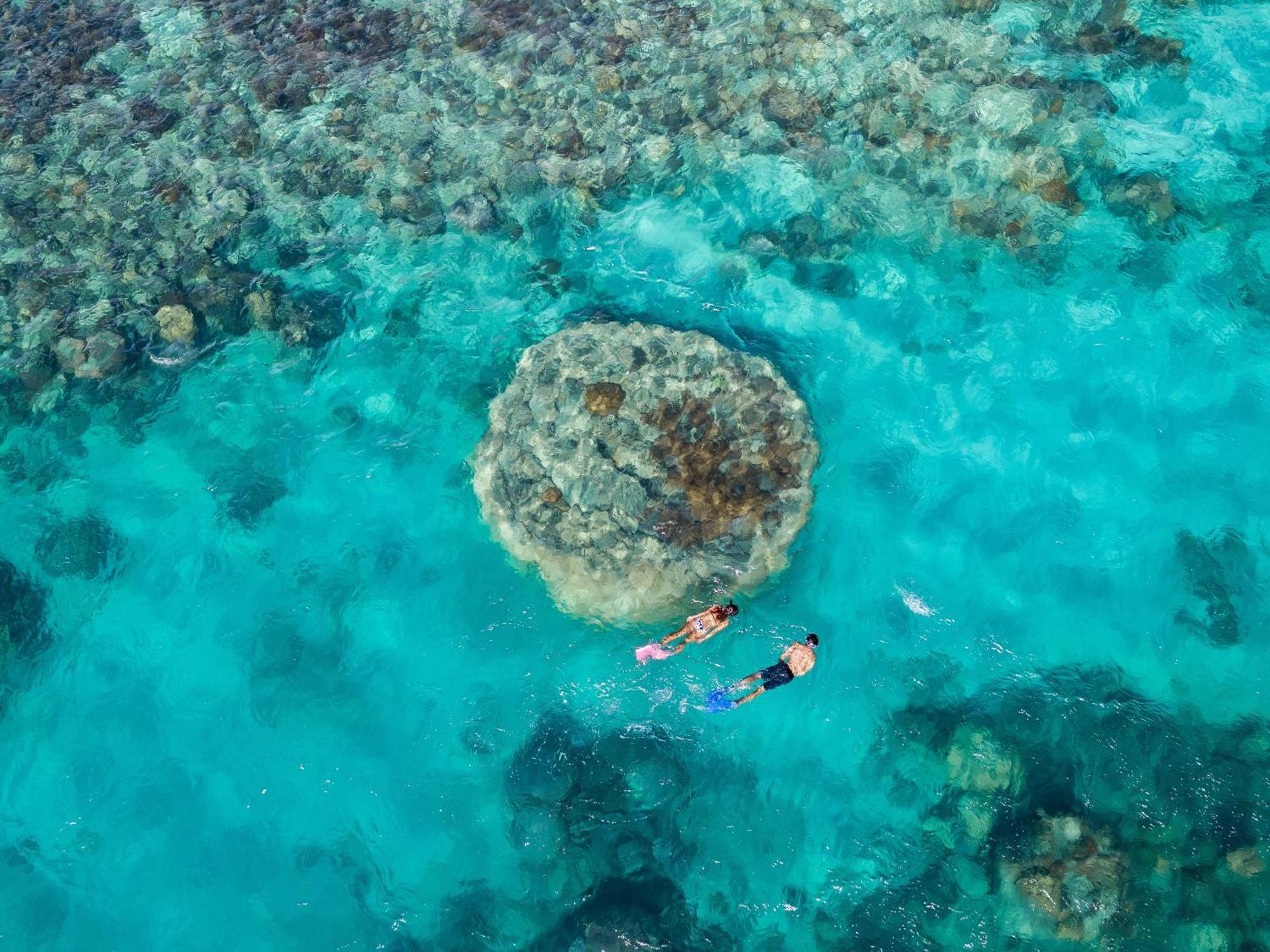 Shingley Beach Resort - Whitsundays エアリービーチ エクステリア 写真